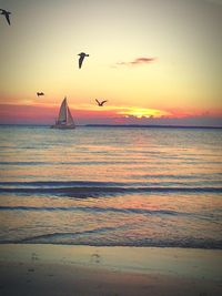 Seagull flying over sea against sky during sunset