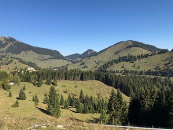 Scenic view of landscape against clear blue sky