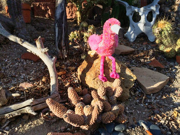 High angle view of stuffed toy on rock