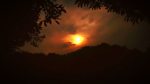 Silhouette of trees at sunset