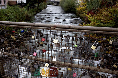 Graffiti on tree by water