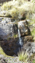 Water flowing through rocks