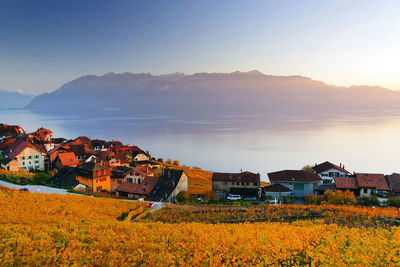 Residential buildings by vineyard against sky