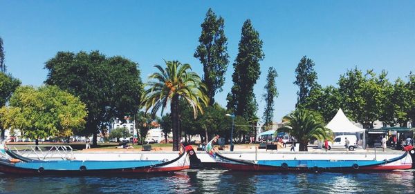 Boats moored on palm trees against clear sky