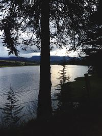 Silhouette trees growing by calm lake against sky