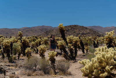 Scenic view of landscape against clear sky