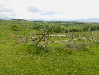 Fence on grassy field