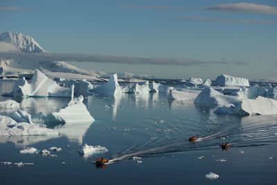 Among icebergs