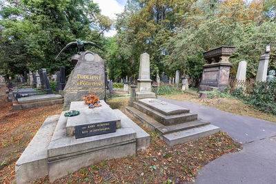 People in cemetery