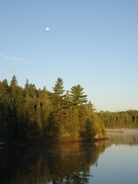 Reflection of trees in calm lake