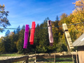 Clothes drying on clothesline