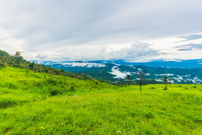 Scenic view of landscape against sky