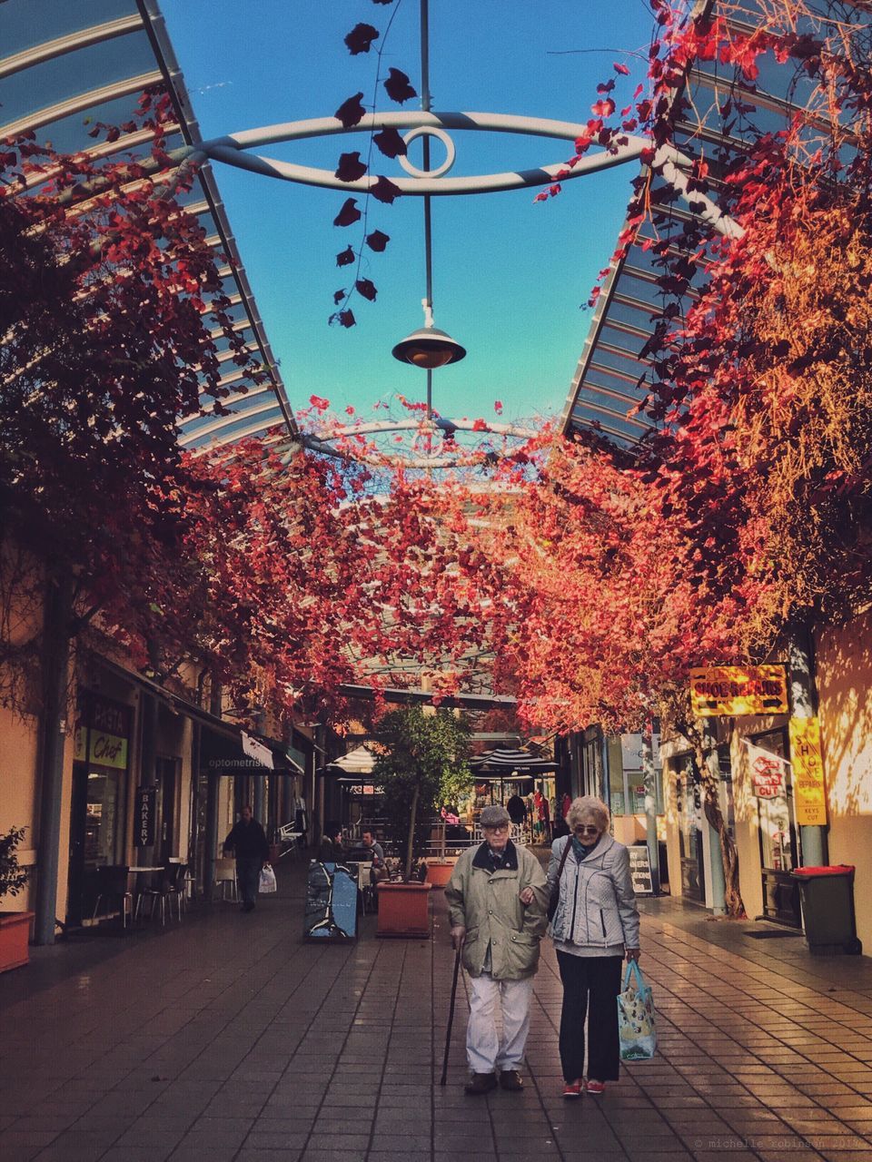 tree, architecture, built structure, building exterior, men, retail, hanging, real people, lantern, autumn, day, large group of people, outdoors, women, people