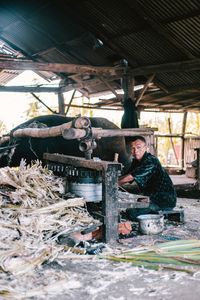 Man using old fashioned sugar cane machine