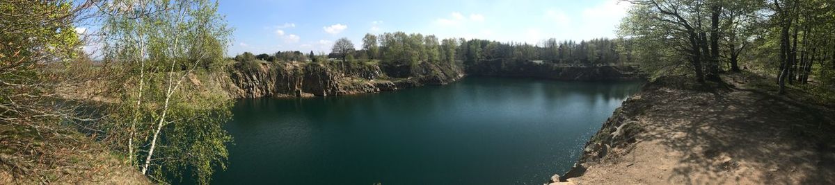 Panoramic view of forest against sky