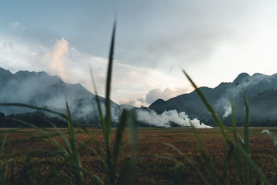 Scenic view of field against sky