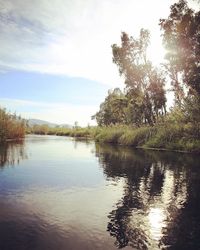 Reflection of trees in lake