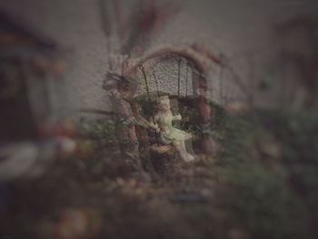 Close-up of broken spider web