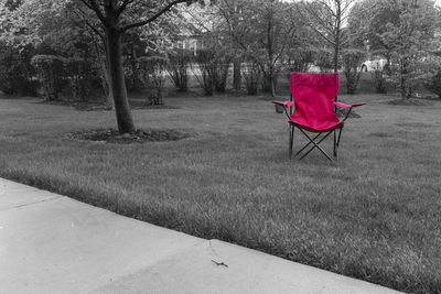 Empty bench on grassy field