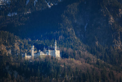 High angle view of trees and buildings against sky