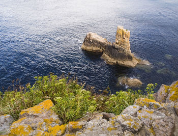 High angle view of rock on sea shore