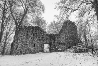 Bare trees on field against sky during winter
