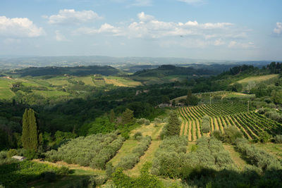 High angle view of agricultural field against sky