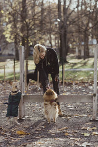 Full length of smiling woman with dogs at obstacle course