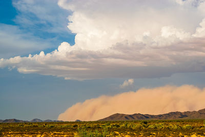 A haboob crawls over the mountains of the arizona desert