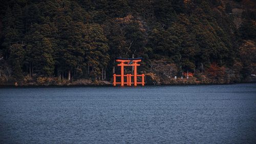 Scenic view of lake in forest during autumn
