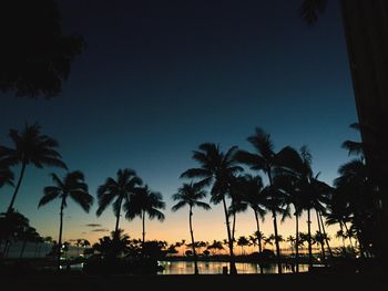 Silhouette palm trees at beach against sky at night