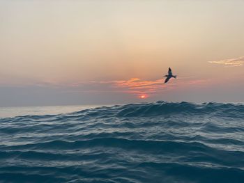 Silhouette person in sea against sky during sunset