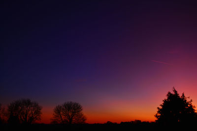 Silhouette trees against clear sky at sunset