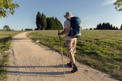 Back view of unrecognizable male traveler with rucksack and wooden stick walking on rough path between trees in summer