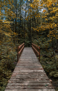 Wooden footbridge amidst trees in forest