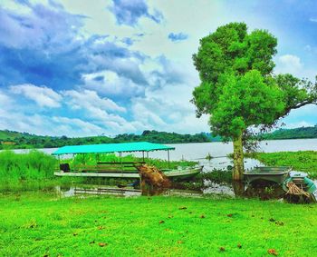 Scenic view of green field against sky