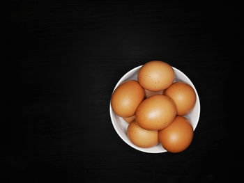 High angle view of eggs against black background