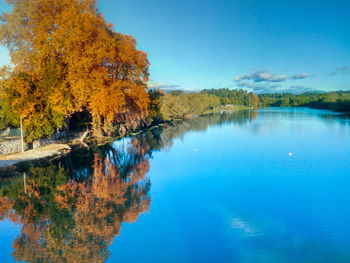 Scenic view of lake by trees against blue sky