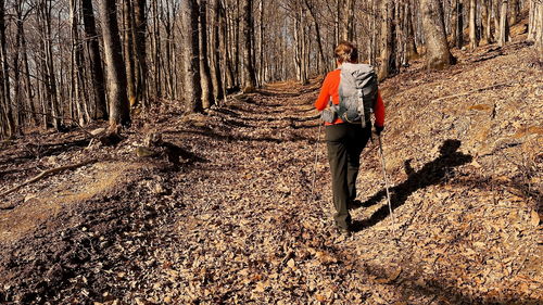 Rear view of man walking on footpath