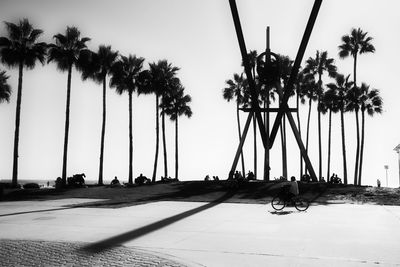 Palm trees on beach against clear sky