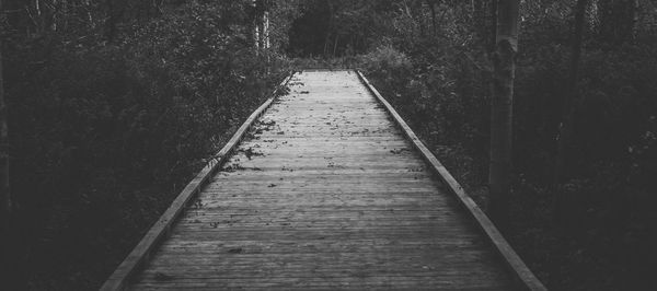 Surface level of wooden pathway along footpath