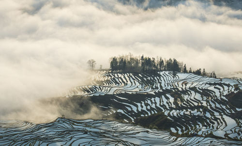 Yuanyang rice terrace, yunnan, china