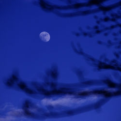 Low angle view of moon in sky