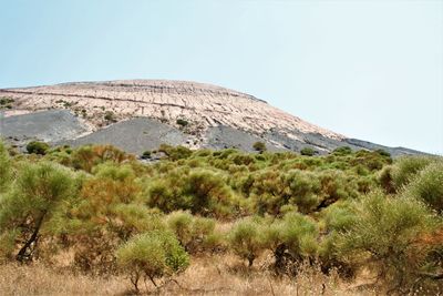 Scenic view of landscape against clear sky