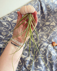 High angle view of woman hand on tiled floor