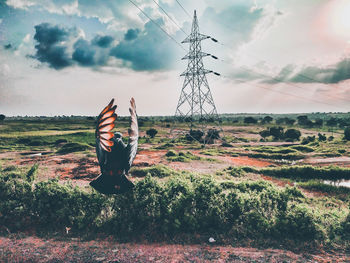 Bird flying over field against sky
