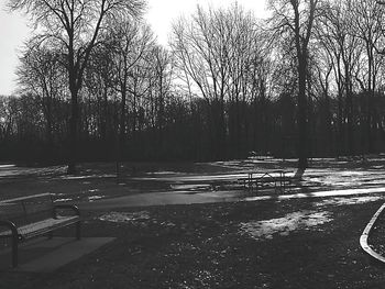 Empty road with trees in background