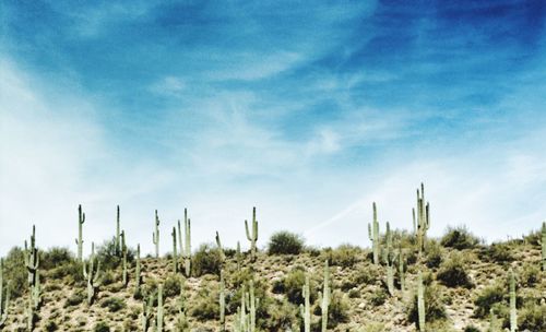 Panoramic shot of desert against sky