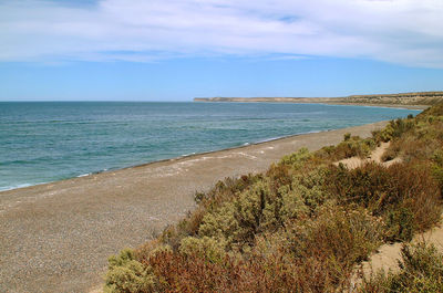 Scenic view of sea against sky