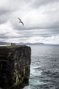 Bird flying over sea against sky